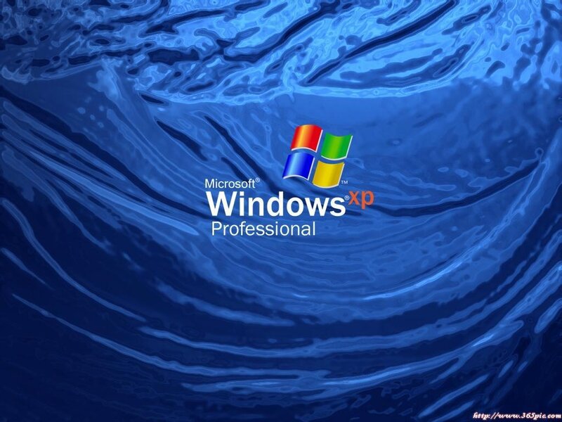 Windows XP Professional login screen