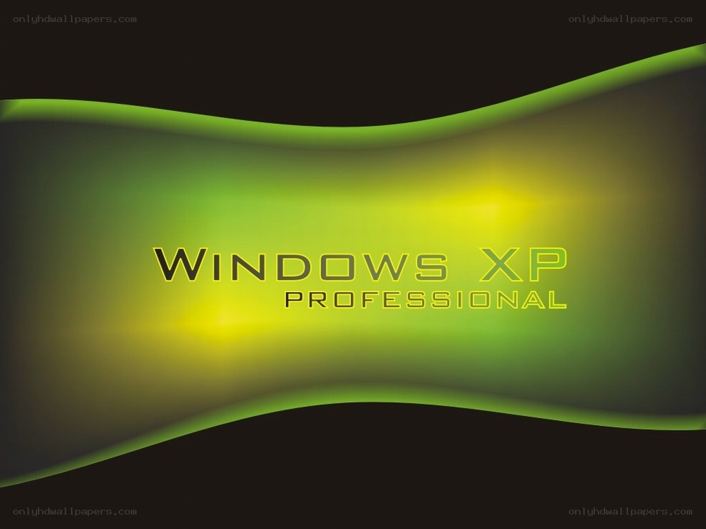 Windows XP Professional logo