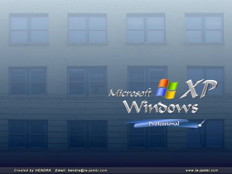 Windows XP Professional startup screen