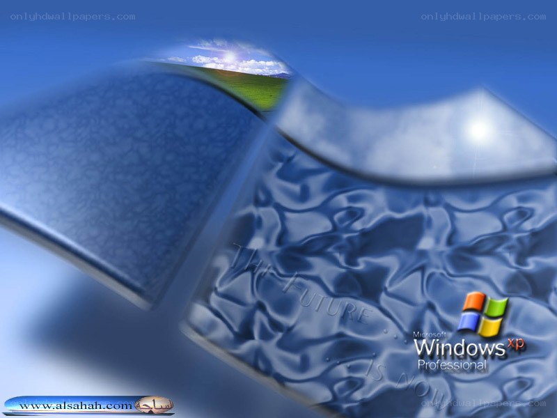 Windows XP promotional wallpaper