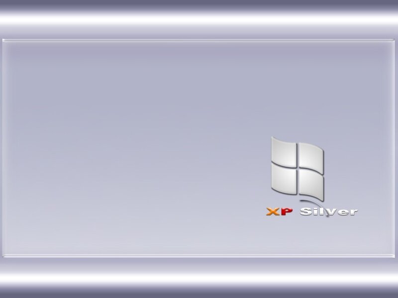 Windows XP Silver Logo — Neutral