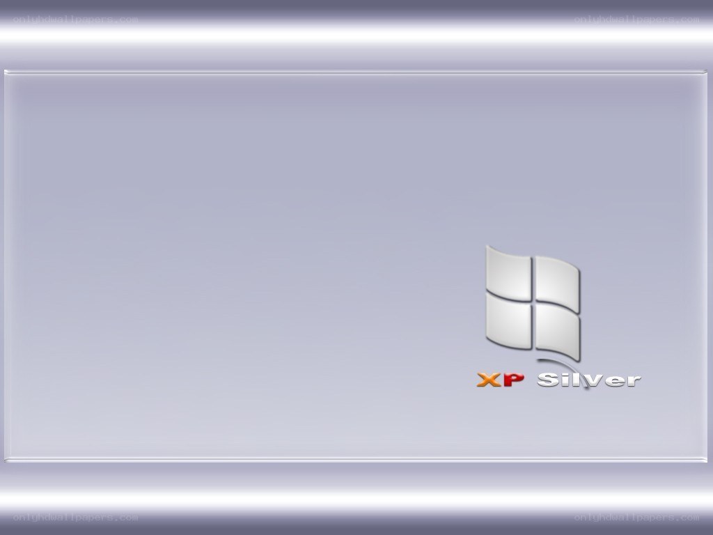 Windows XP Silver logo