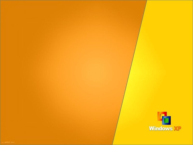 Windows XP startup screen