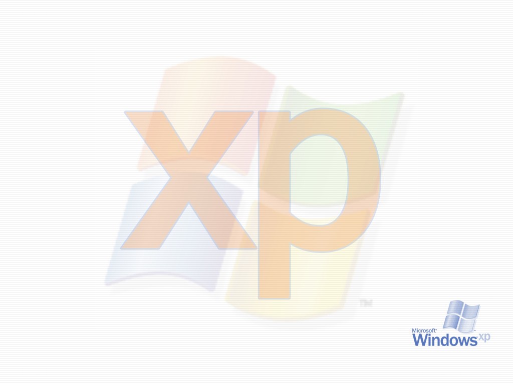 Windows XP startup screen