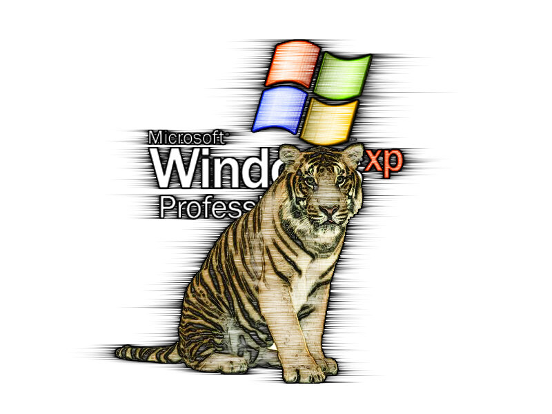 Windows XP tiger logo