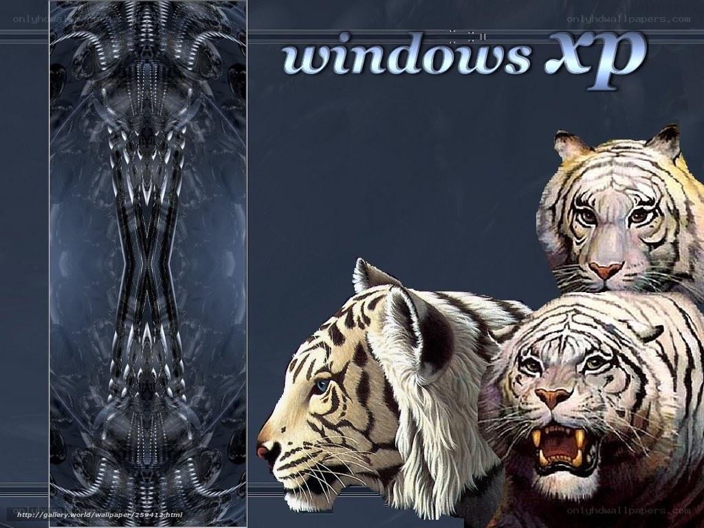 Windows XP tiger wallpaper