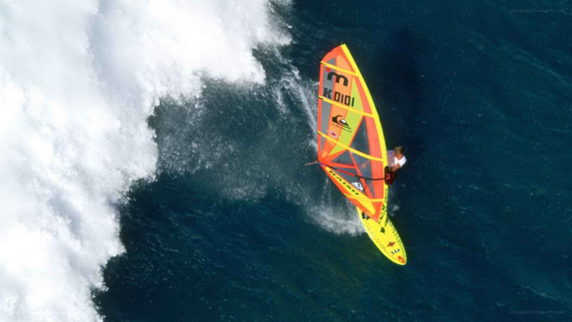 windsurfer on a wave