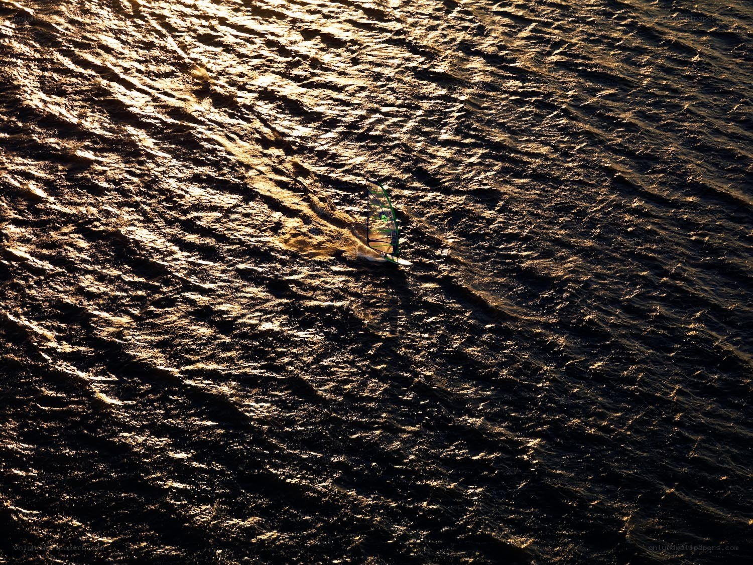 Windsurfer on sunlit water