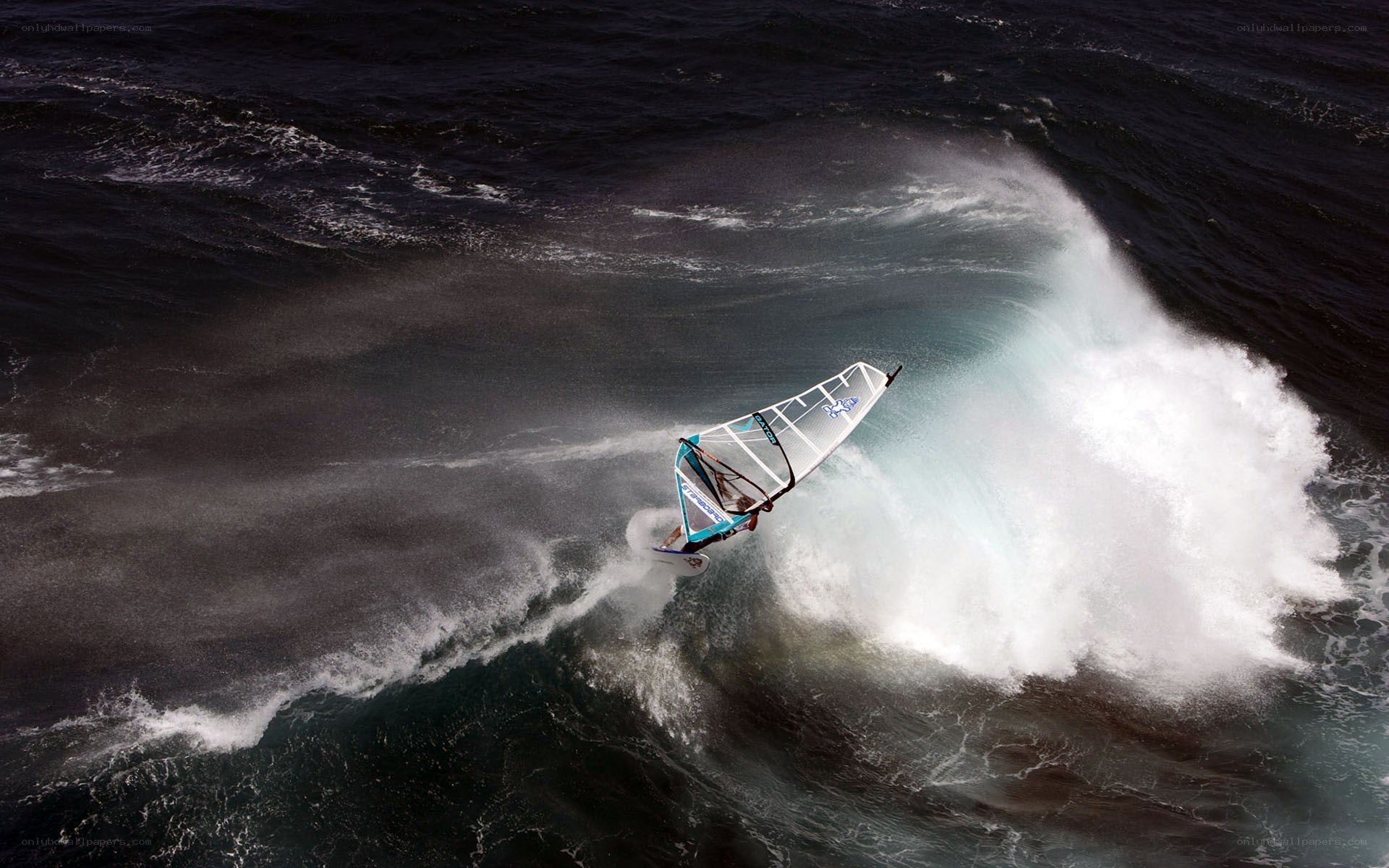 Windsurfer riding a wave