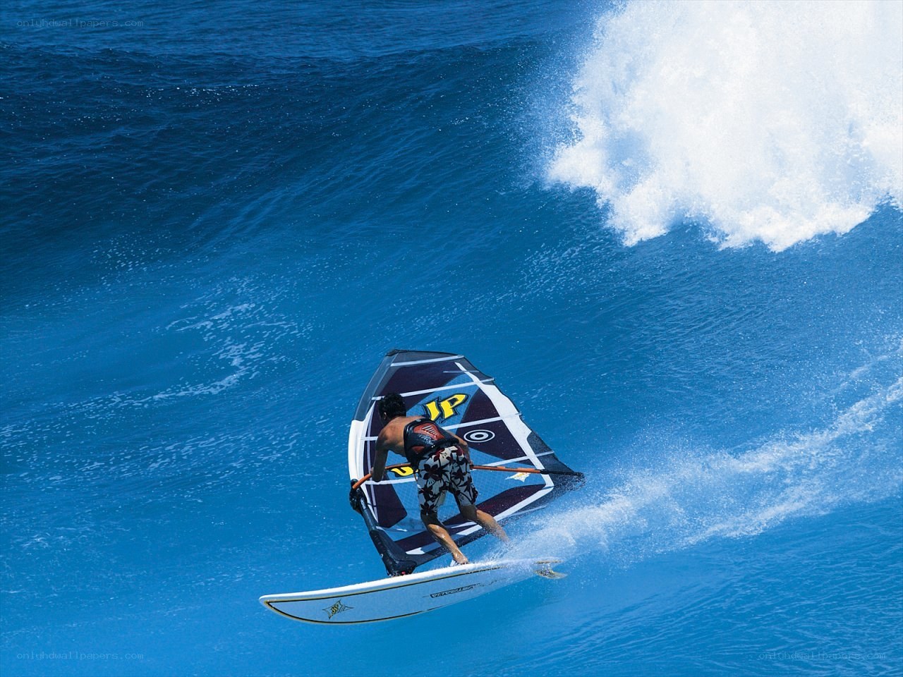 Windsurfer riding a wave