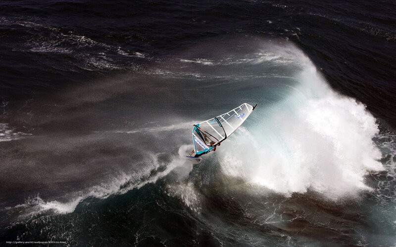 Windsurfer riding a wave