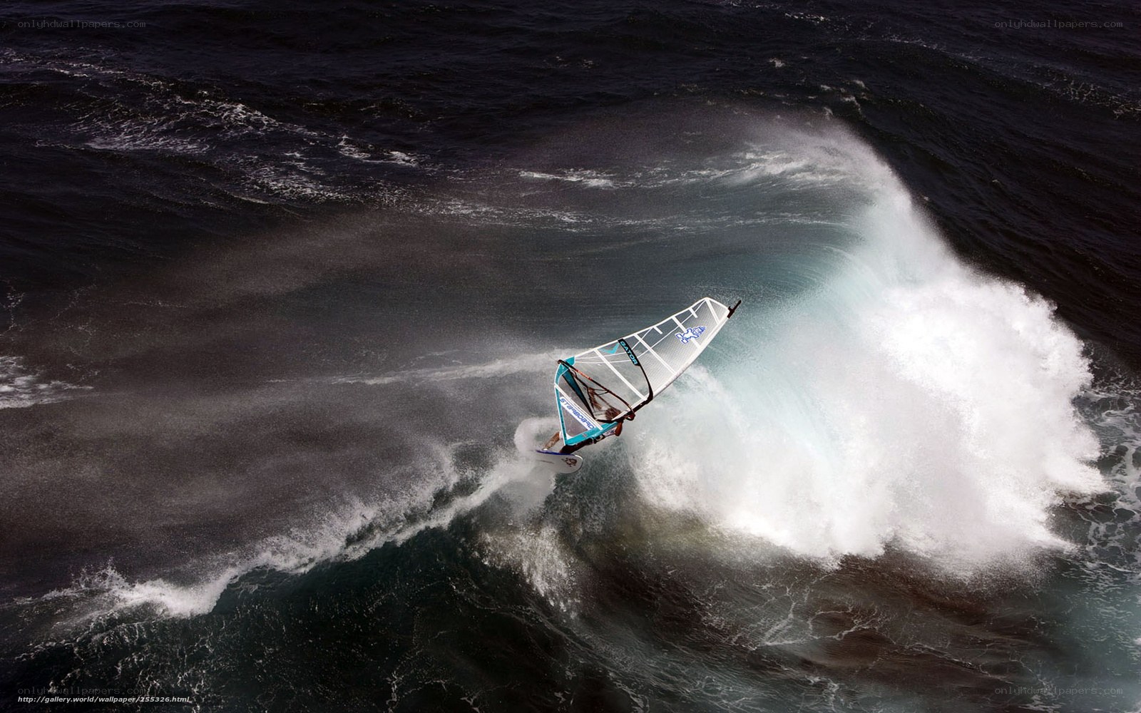 Windsurfer riding a wave