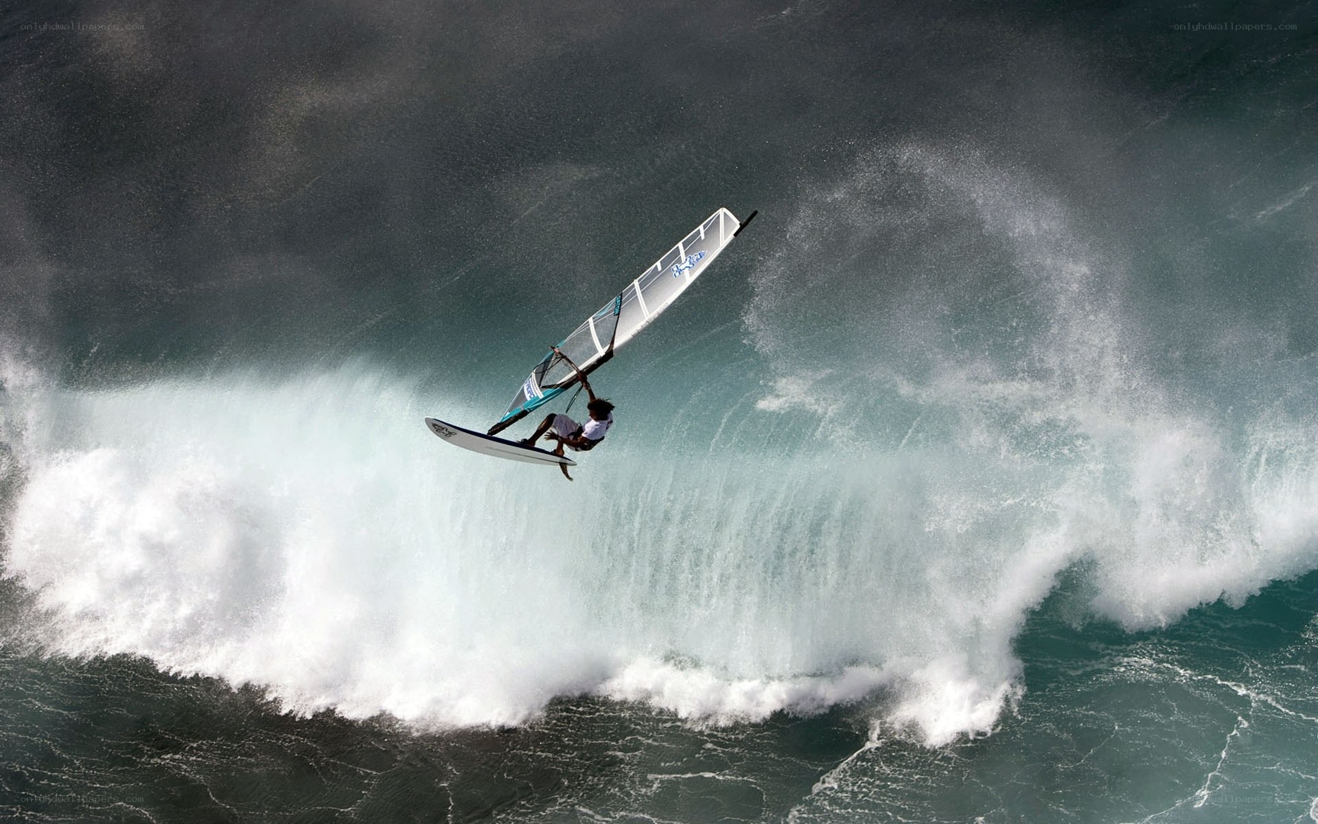 Windsurfer riding wave