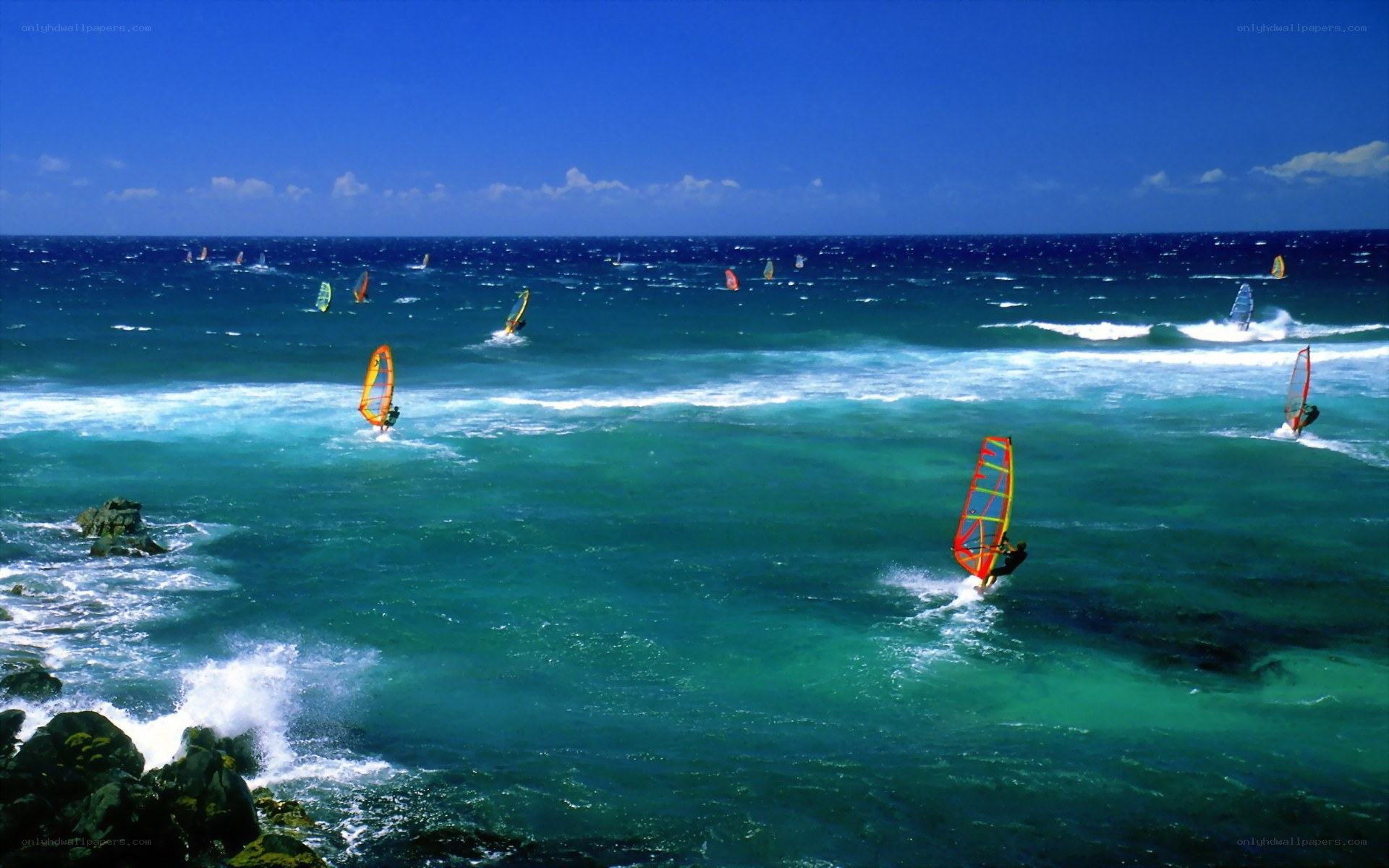 Windsurfers on a sunny day