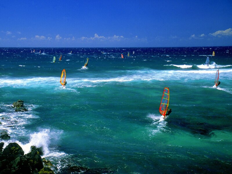 Windsurfers on a sunny day