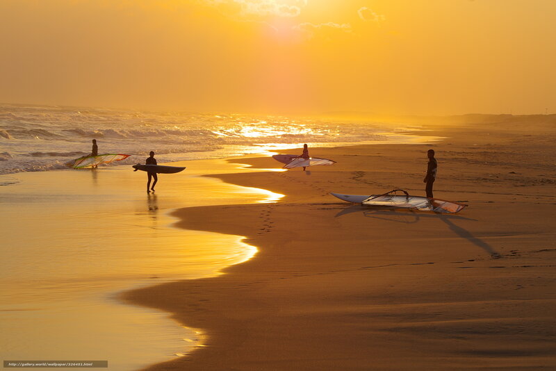 Windsurfers on Beach — Gold
