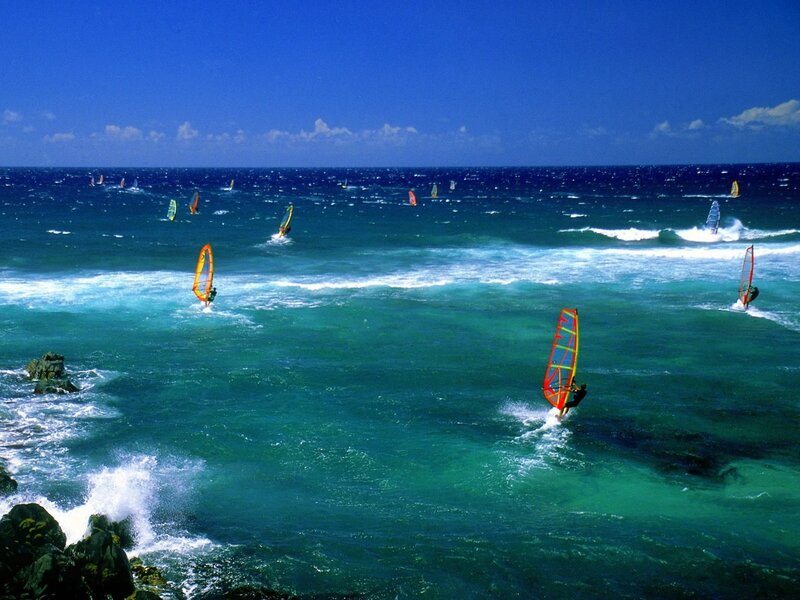 Windsurfers on Ocean