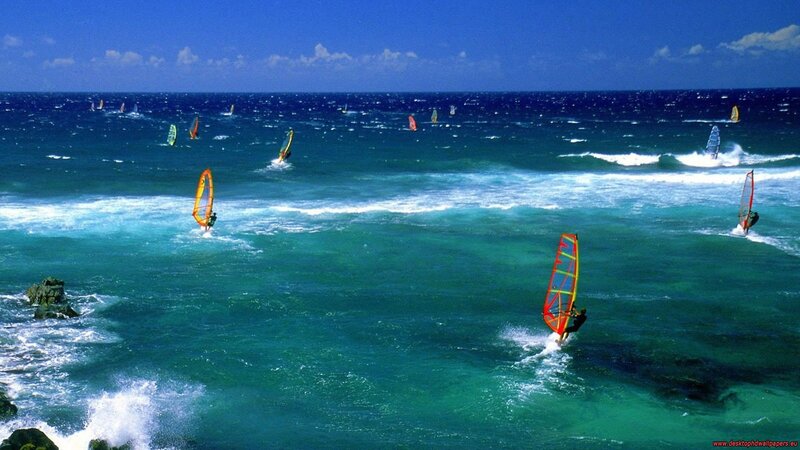 Windsurfers on the ocean