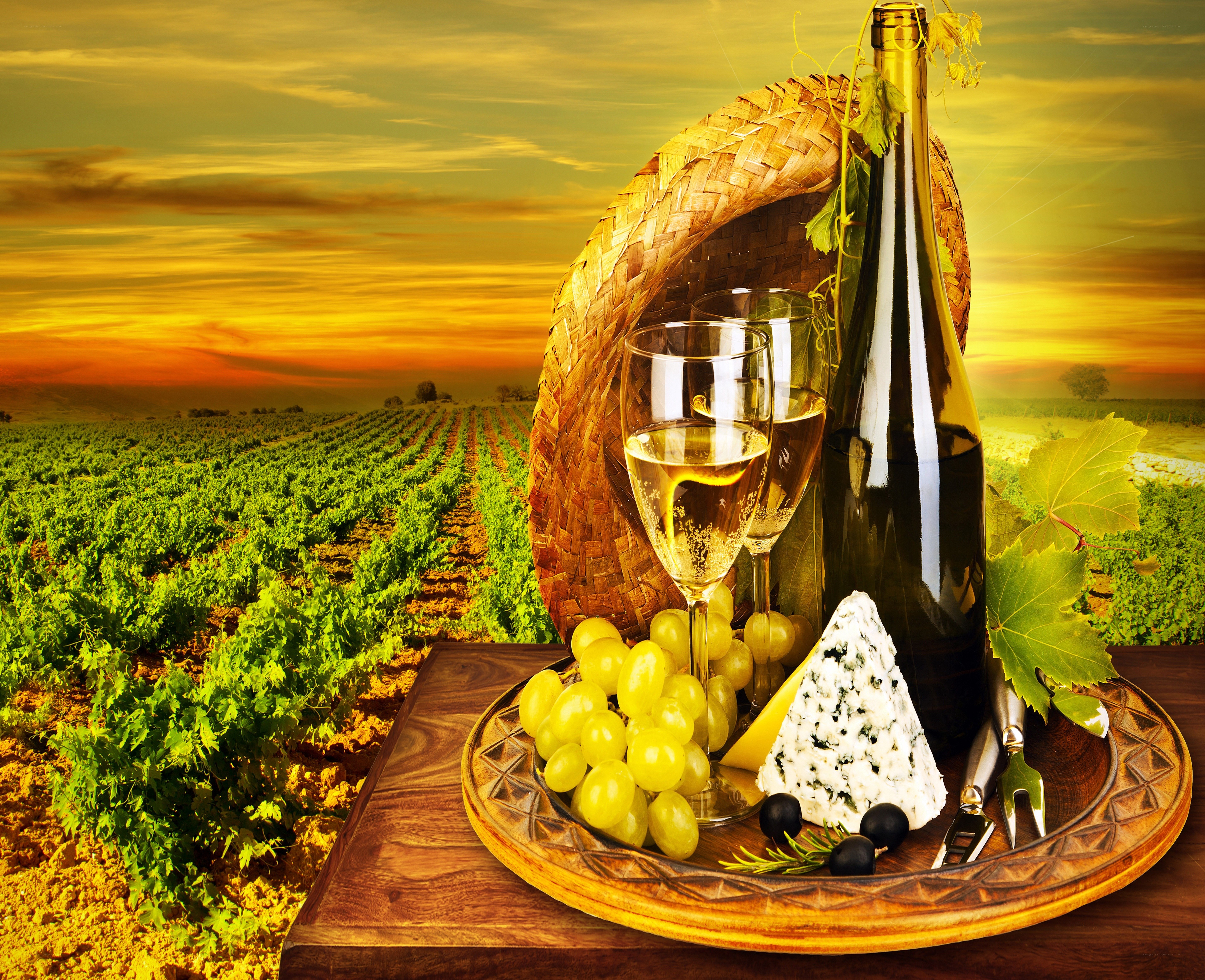 Wine and cheese in vineyard