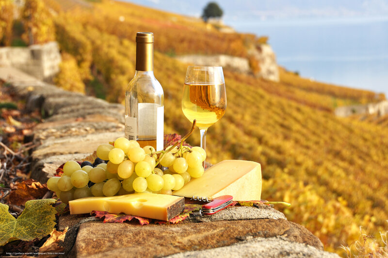 Wine and Cheese on Stone — Yellow, Serene