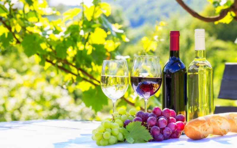 Wine and Grapes on Table — Green, Serene