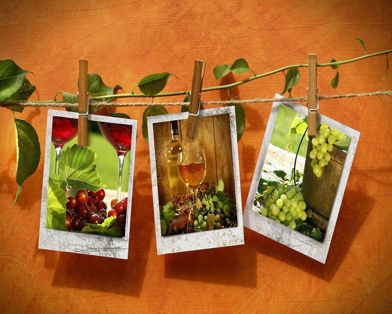Wine and grapes photos on clothesline