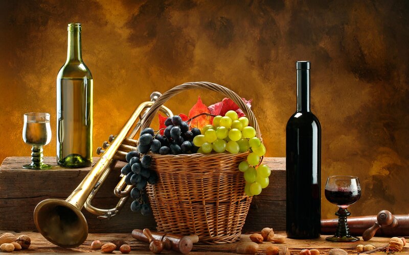 Wine and grapes still life