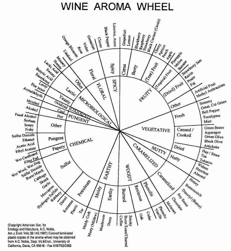 Wine aroma wheel chart