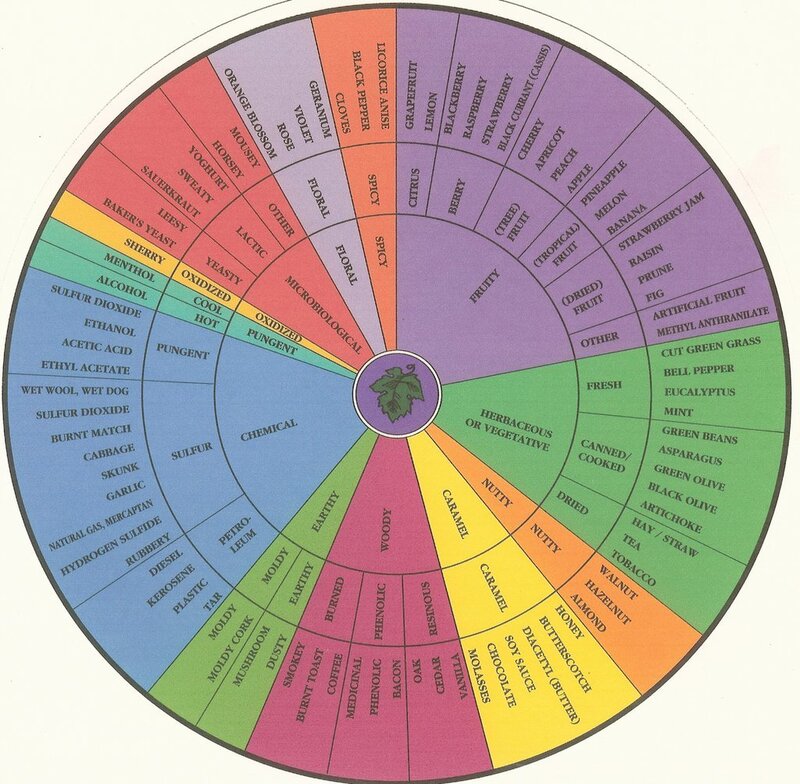 wine aroma wheel