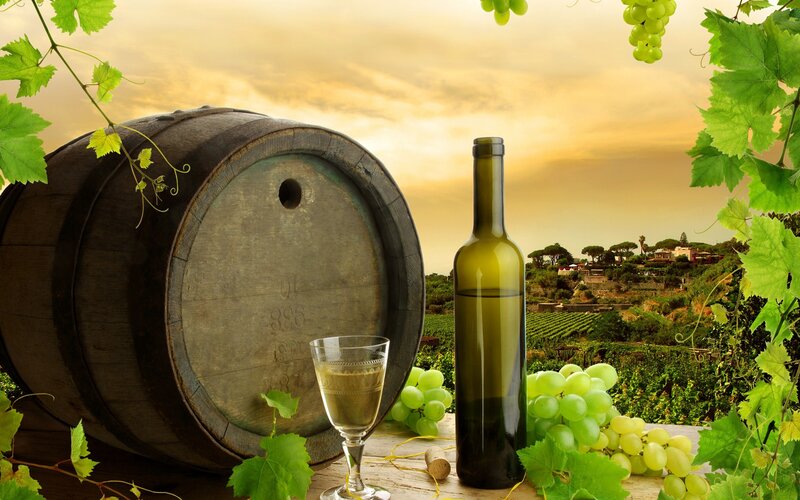 Wine Barrel and Grapes — Green, Serene
