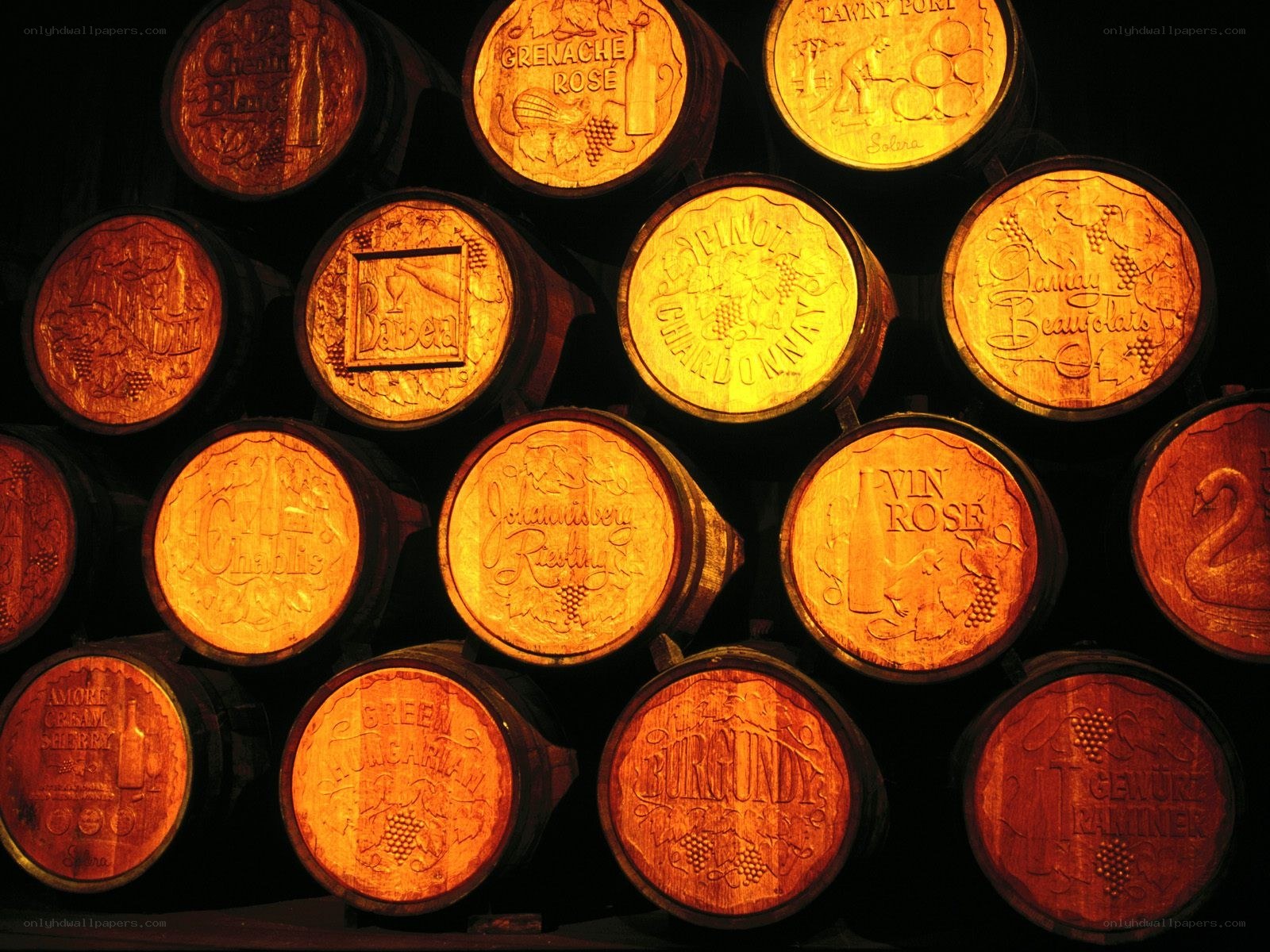 wine barrels in a cellar