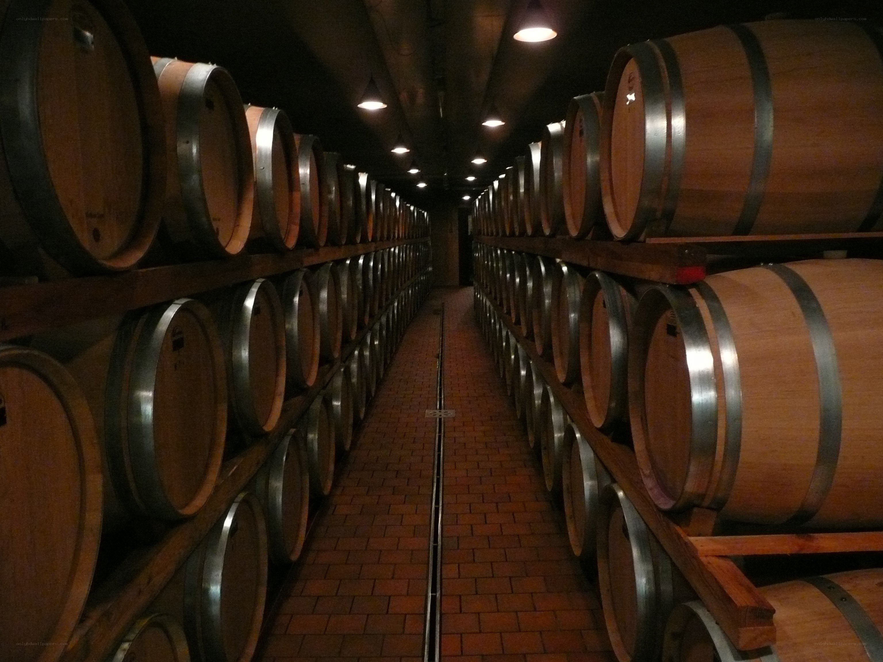 Wine barrels in a cellar
