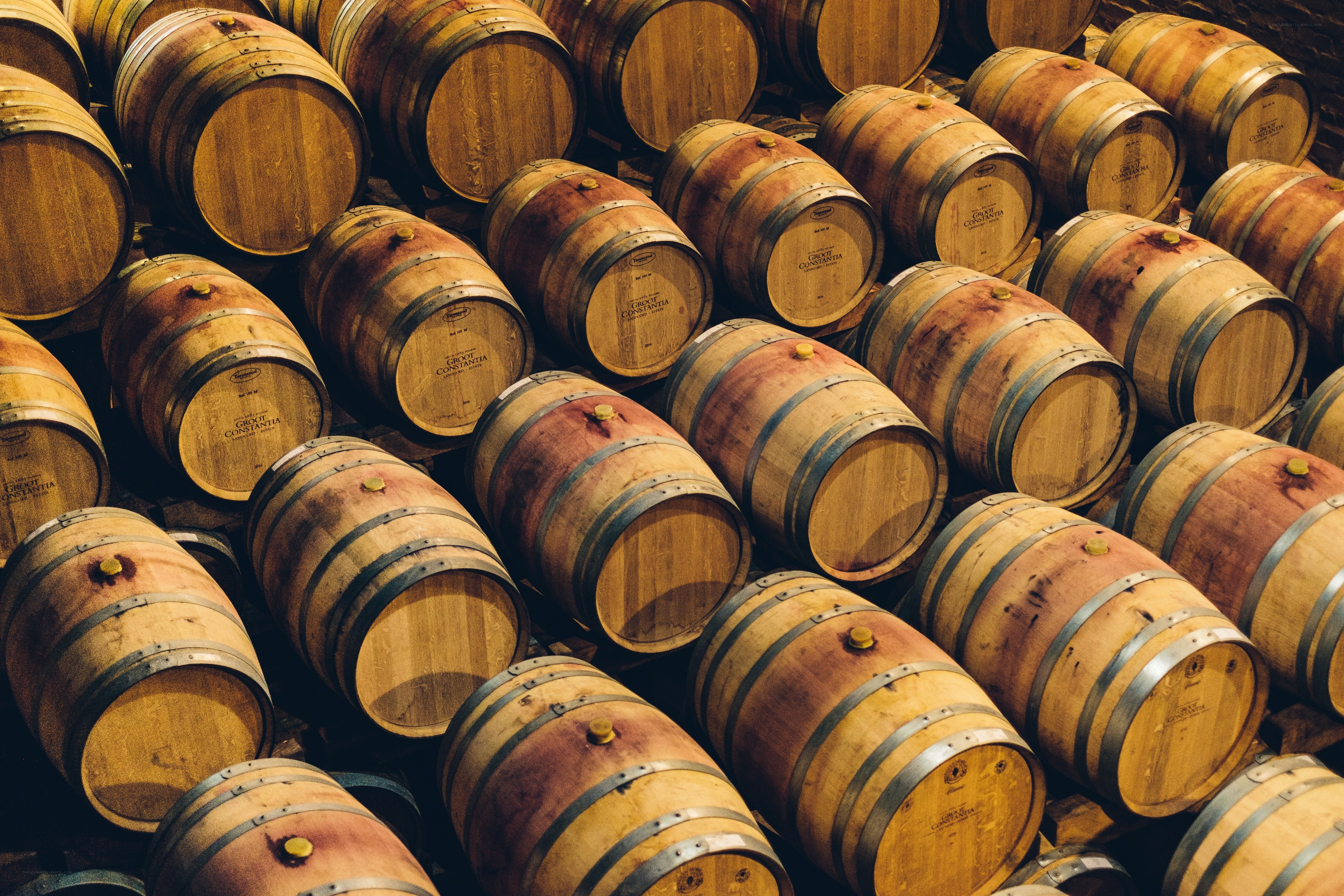 wine barrels in a cellar