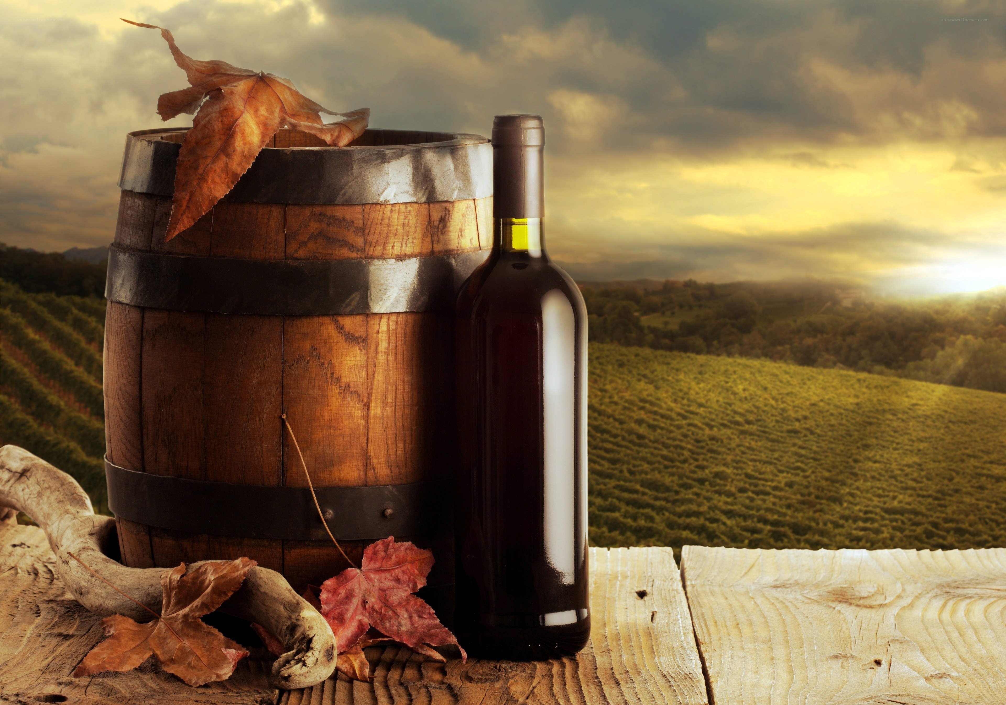 Wine bottle and barrel in vineyard