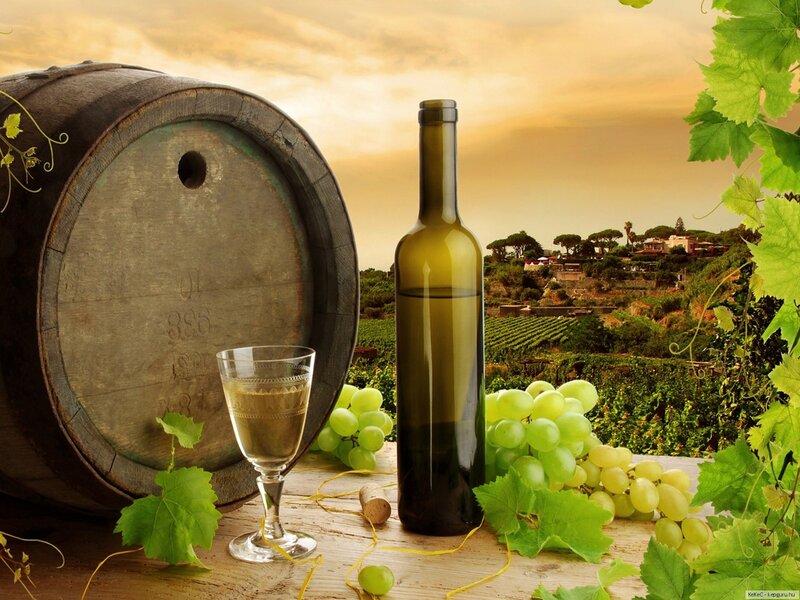 Wine Bottle and Grapes — Green