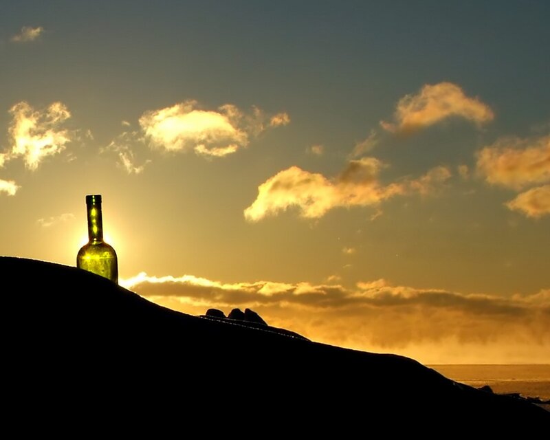 wine bottle at sunset