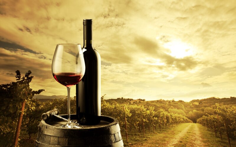 wine bottle in vineyard