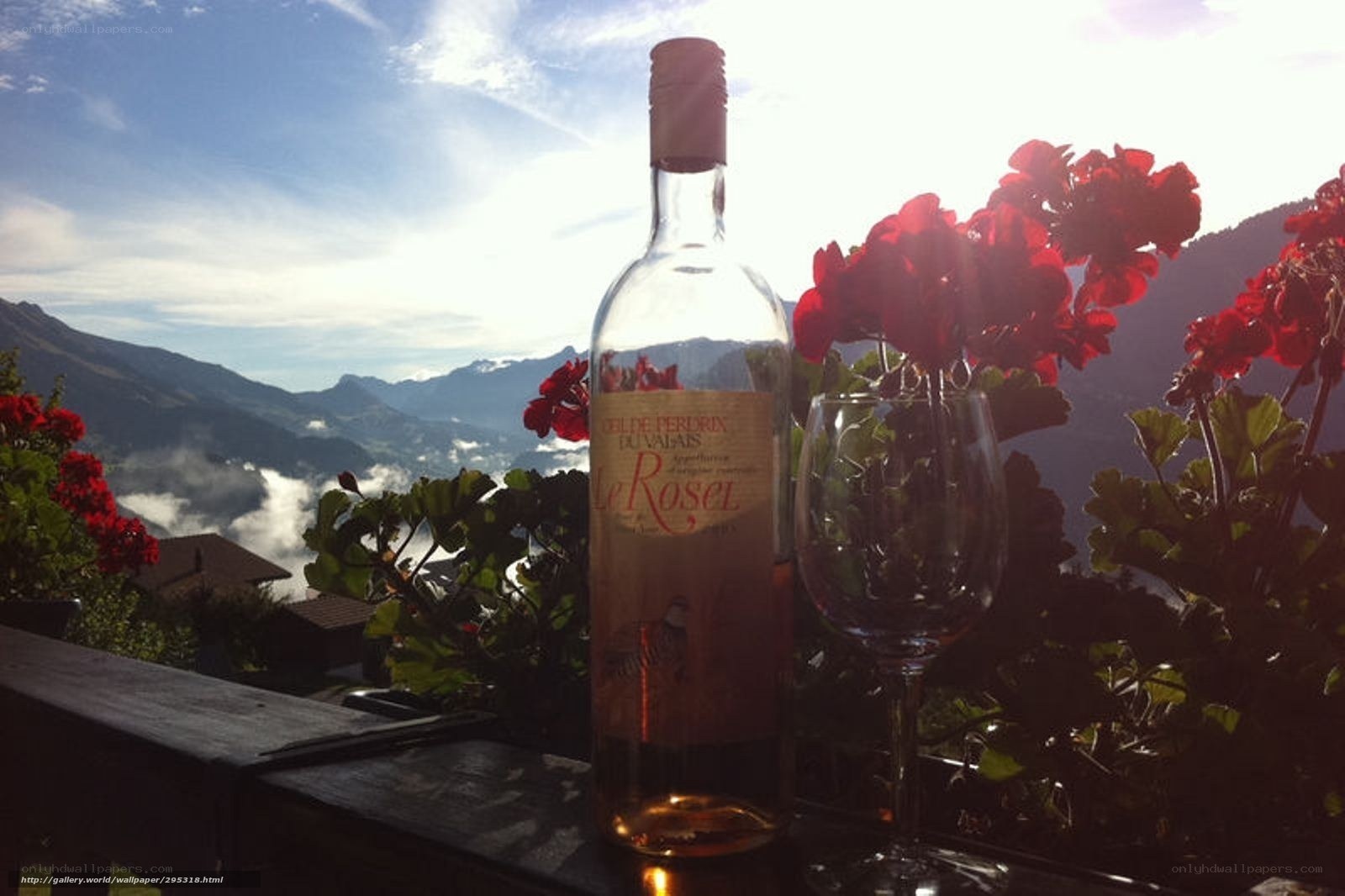 wine bottle with mountain view