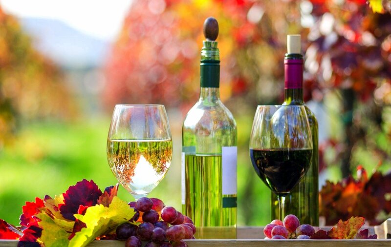 Wine Bottles and Glasses — Green, Serene