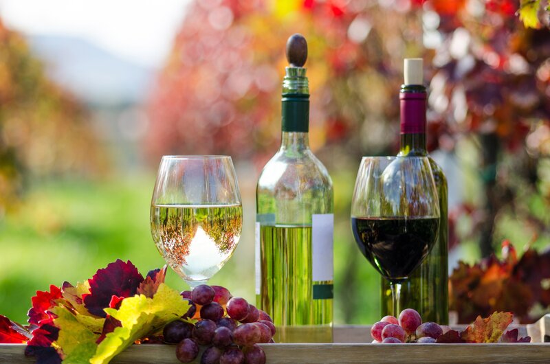 Wine Bottles and Grapes — Green, Serene