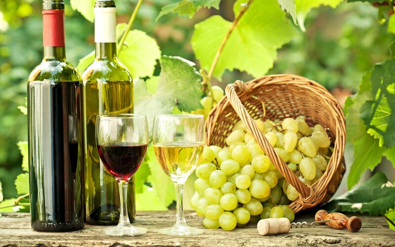 Wine Bottles and Grapes — Green