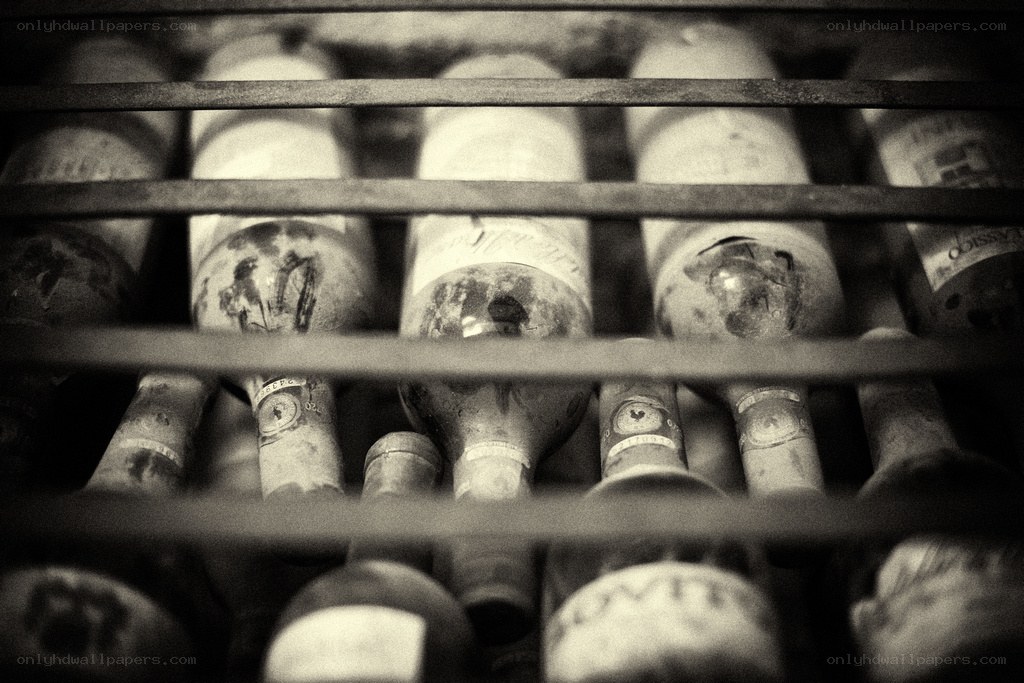 wine bottles in a cellar