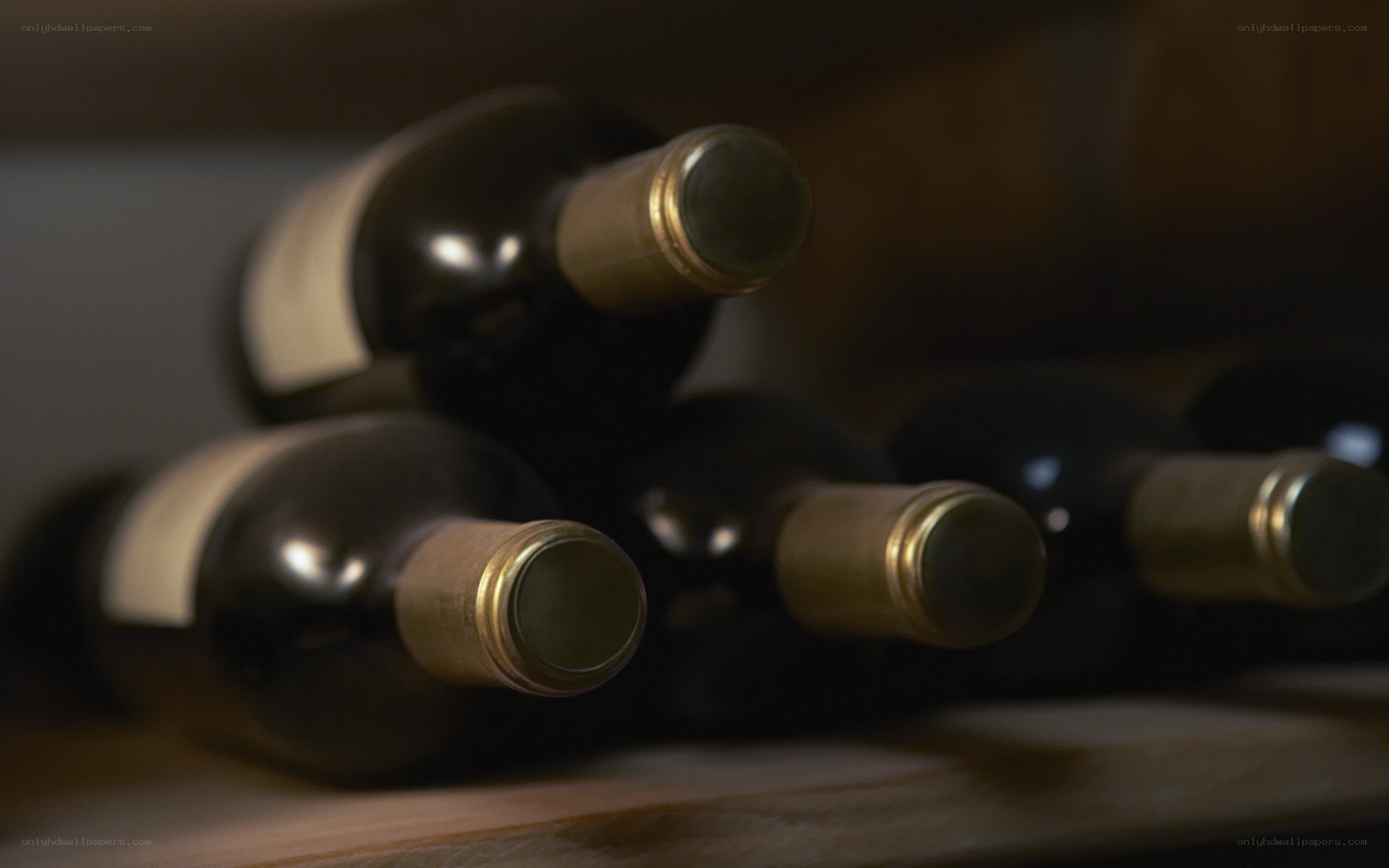 wine bottles in a cellar