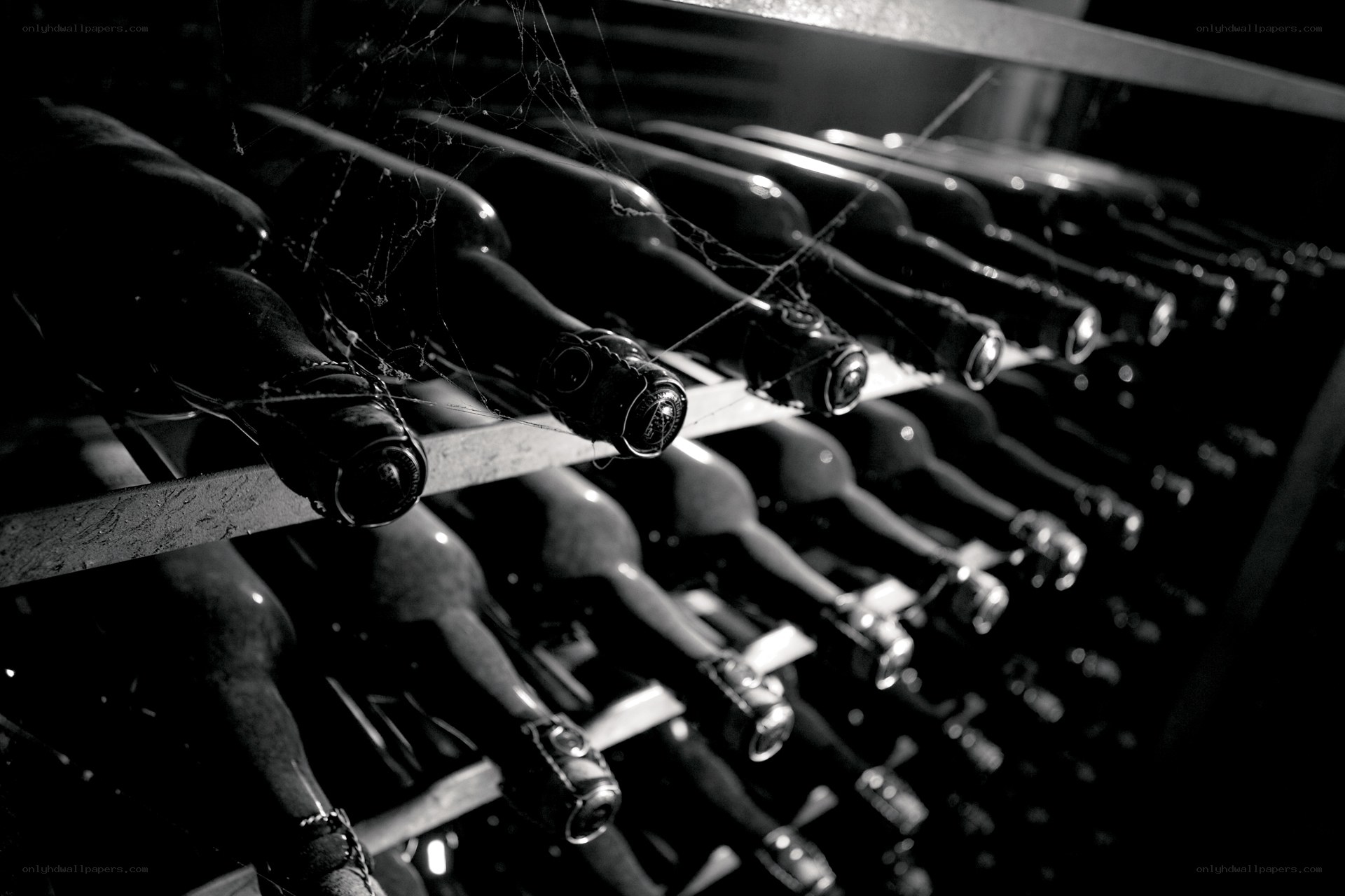 Wine bottles in a cellar