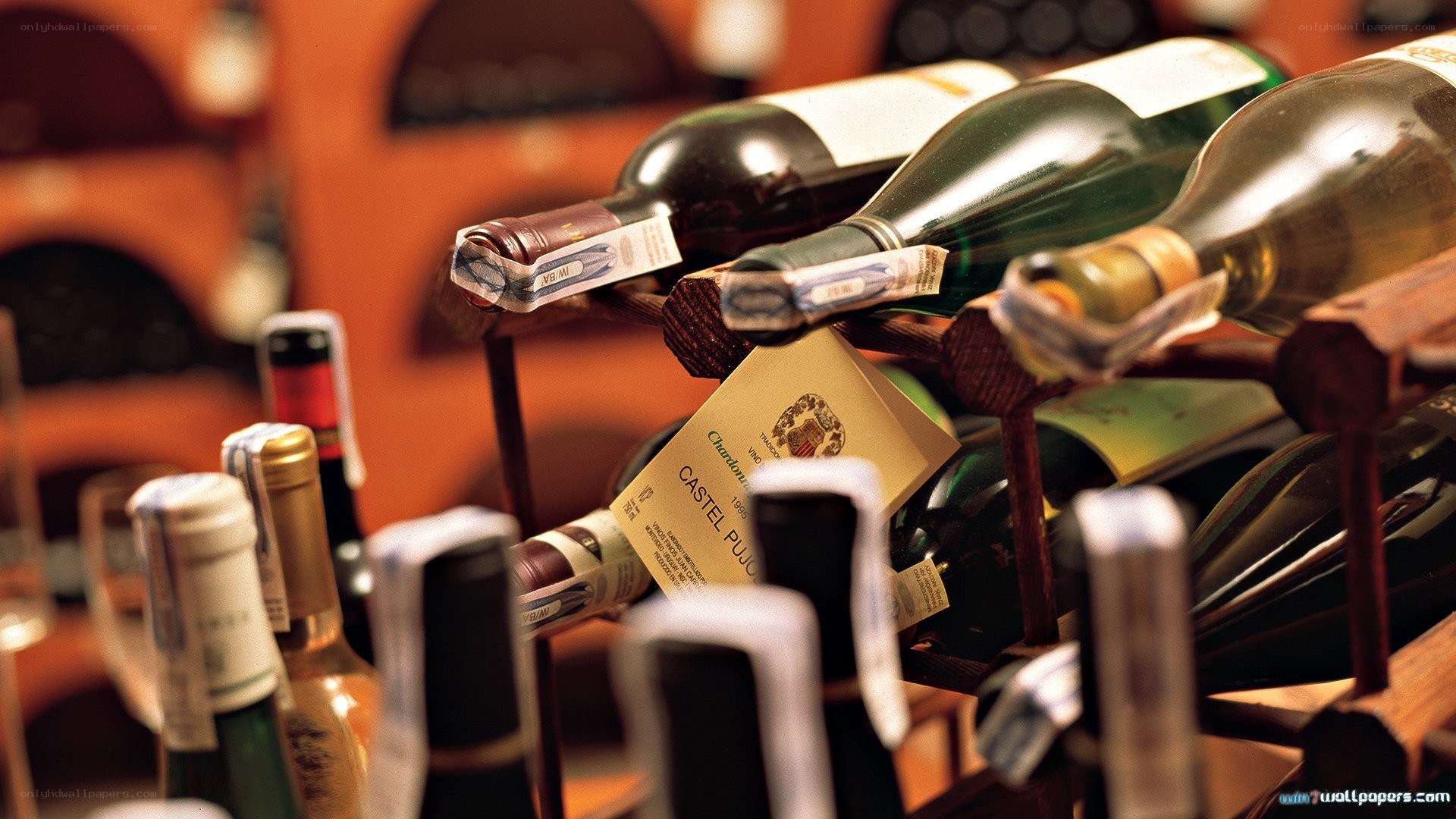 Wine bottles in a cellar