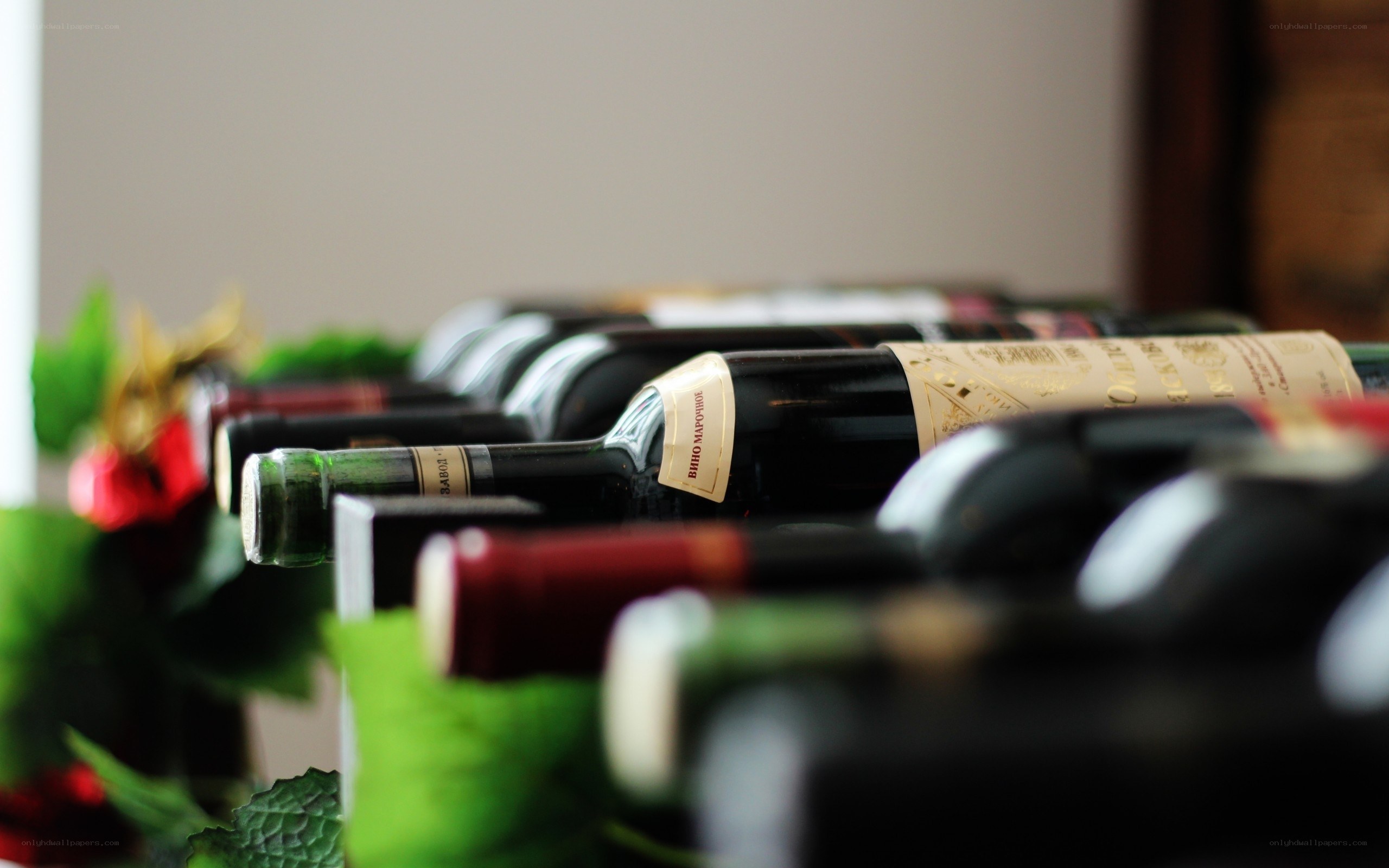 wine bottles in a row