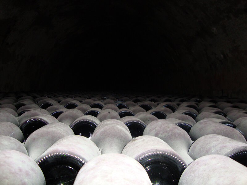 wine bottles in cellar