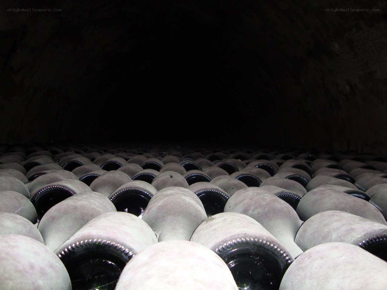 wine bottles in cellar