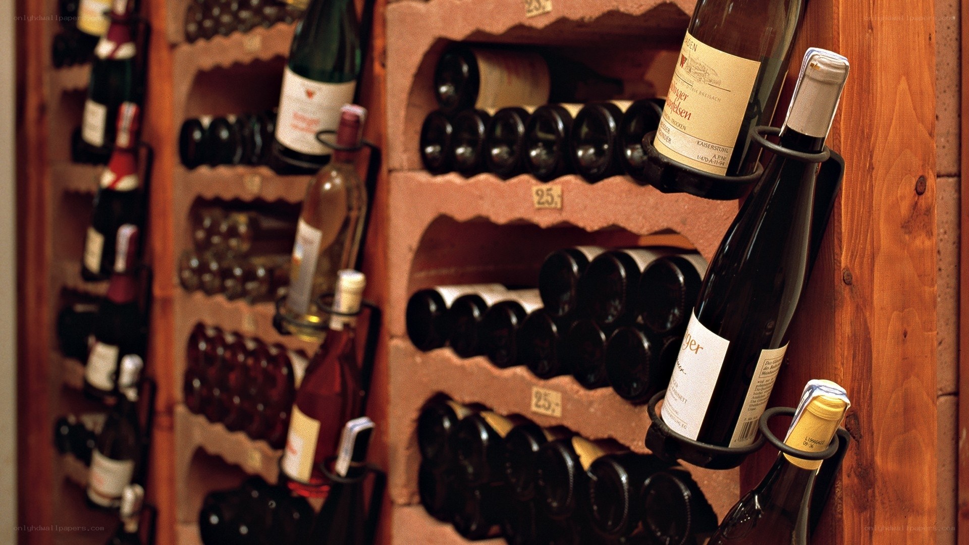 wine bottles in cellar racks