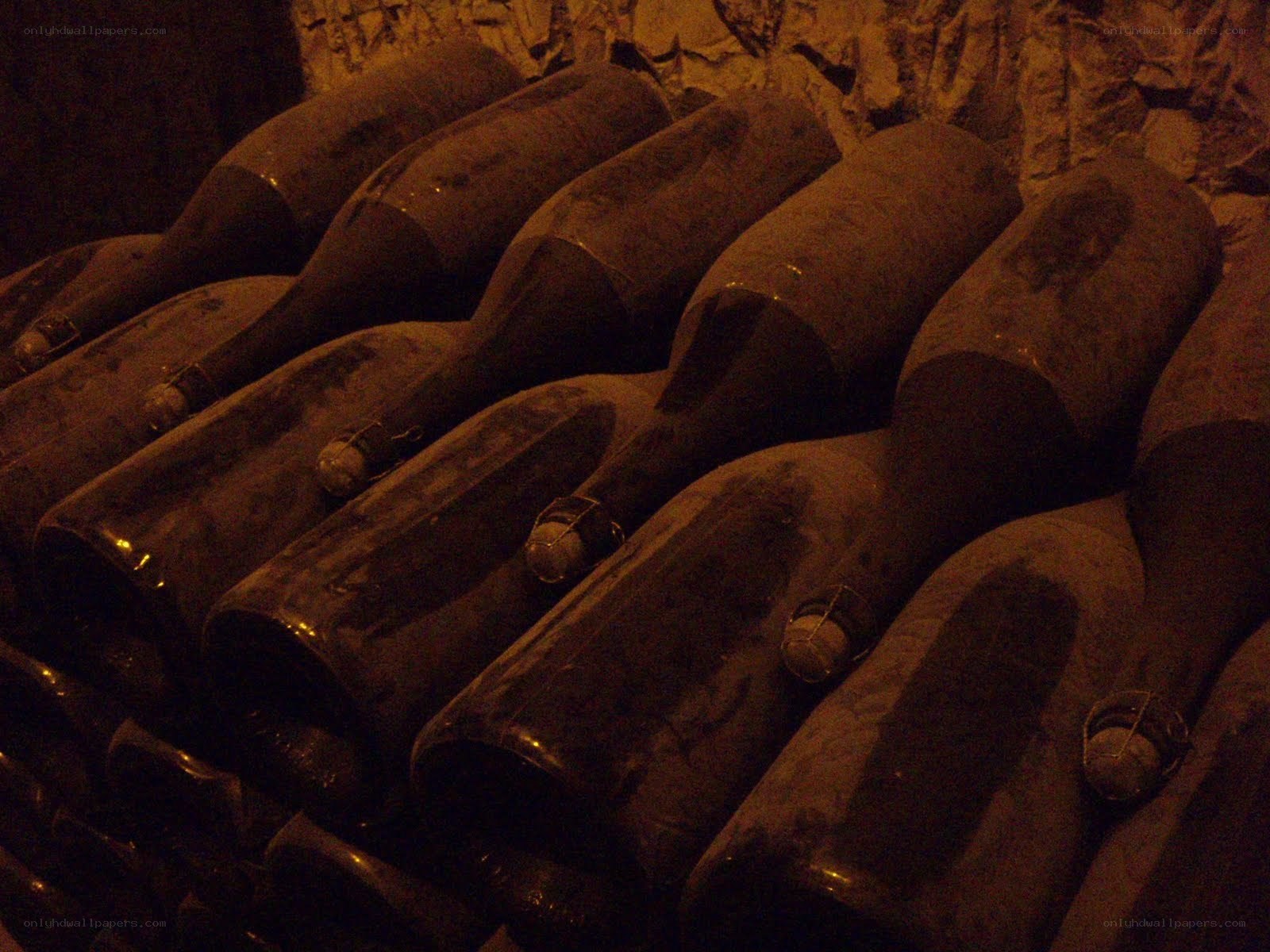 wine bottles in cellar